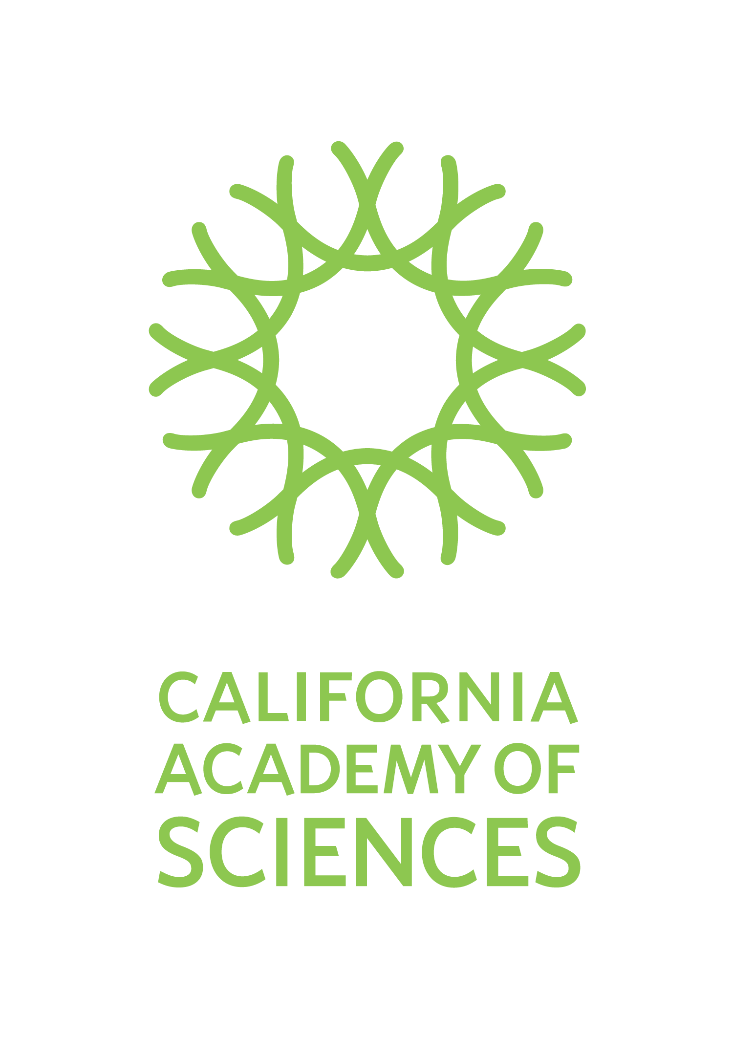 http://colorsofindia.events/wp-content/uploads/2026/05/CAS-Vertical-Academy-Green-Digital.png
